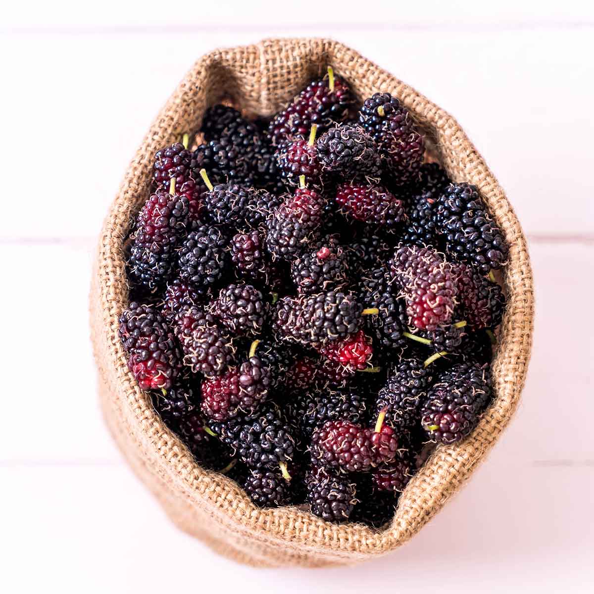 Mermelada de Mora Artesanal - Imagen 2